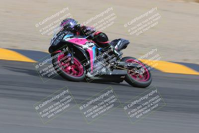 media/Mar-11-2023-SoCal Trackdays (Sat) [[bae20d96b2]]/Turn 11 (940am)/